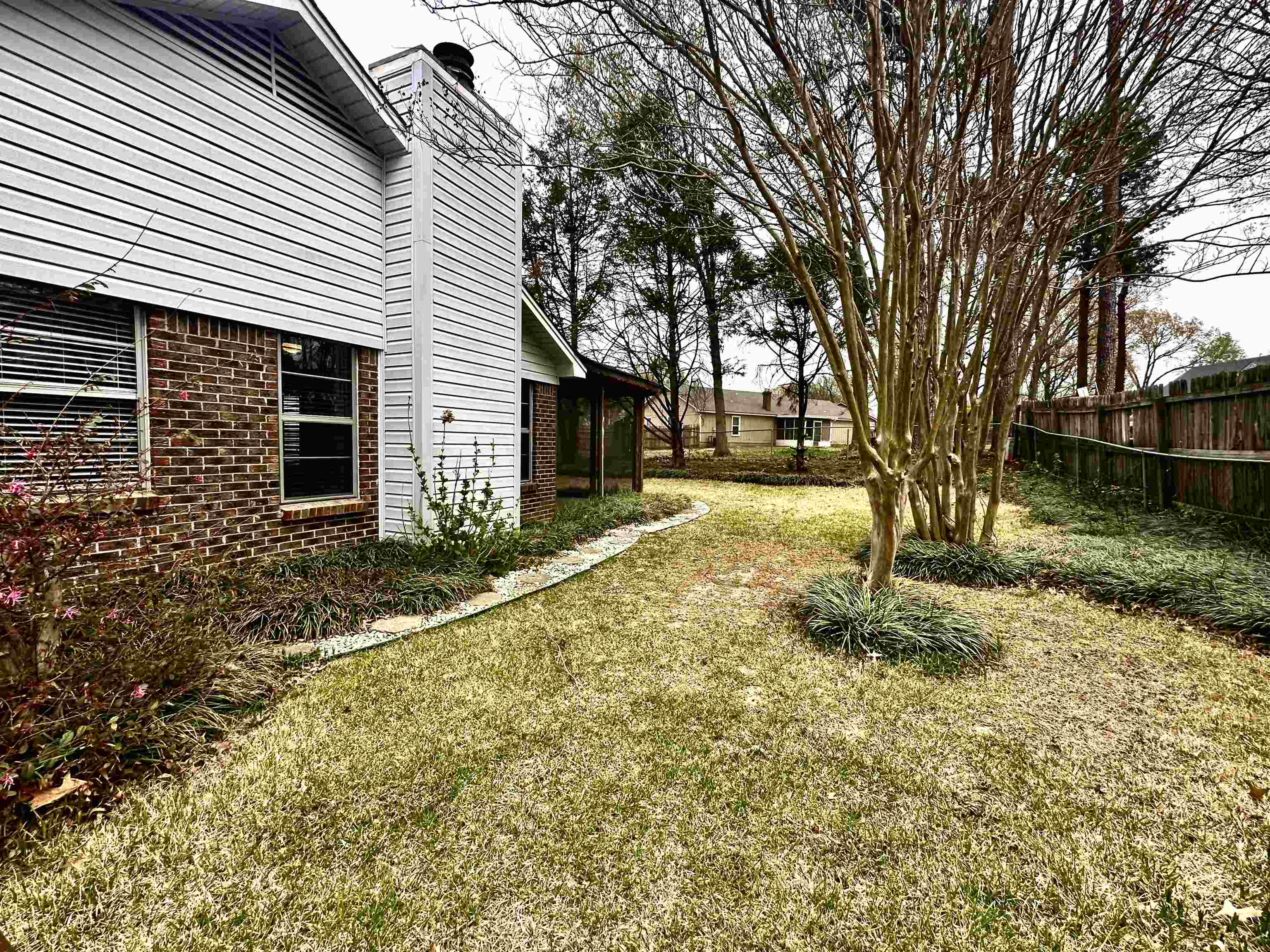 3250 Altruria Road Bartlett, TN 38134 - Photo 3 of 31 a view of a yard with a large tree