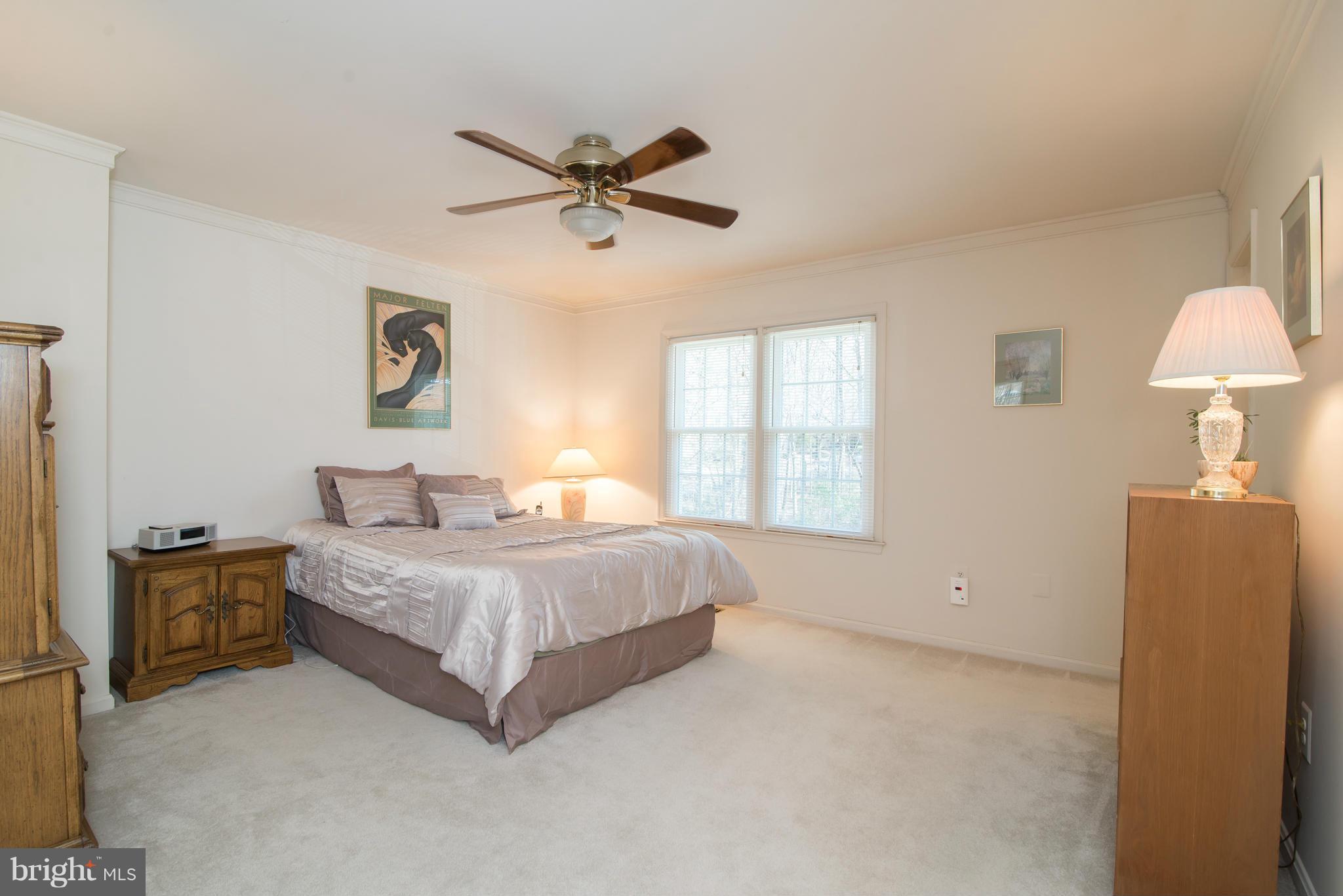 7412 Spring Tree Drive Springfield, VA 22153 - Photo 14 of 29 Bedroom (Master)