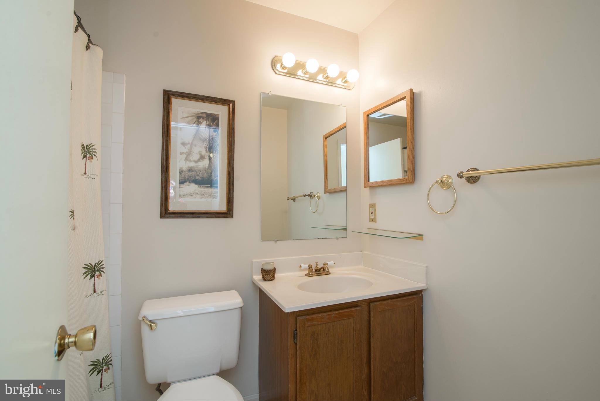7412 Spring Tree Drive Springfield, VA 22153 - Photo 18 of 29 Upstairs Full Bath