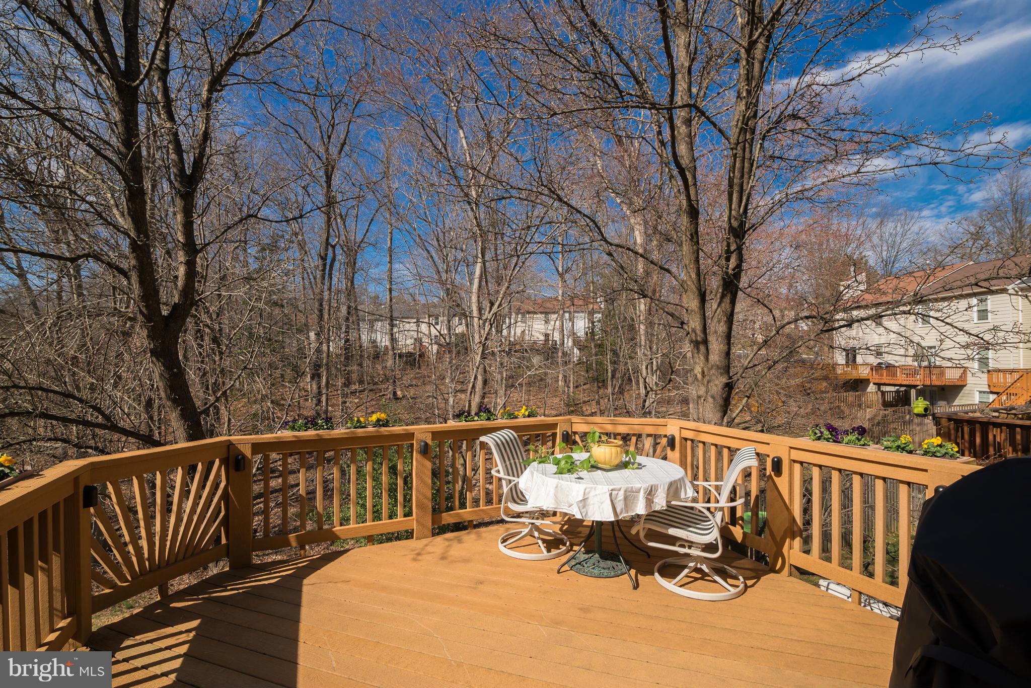 7412 Spring Tree Drive Springfield, VA 22153 - Photo 25 of 29 Maintenance free Deck