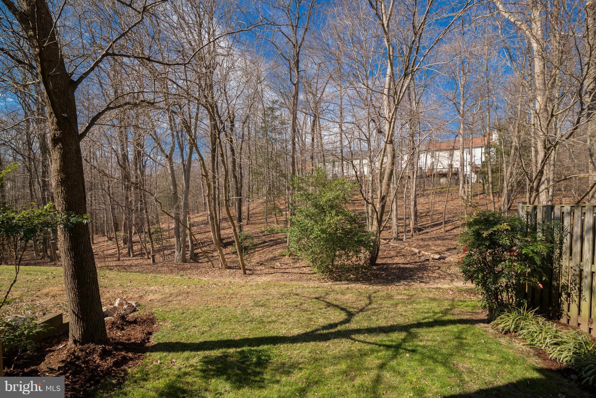 7412 Spring Tree Drive Springfield, VA 22153 - Photo 28 of 29 Exterior (Rear)