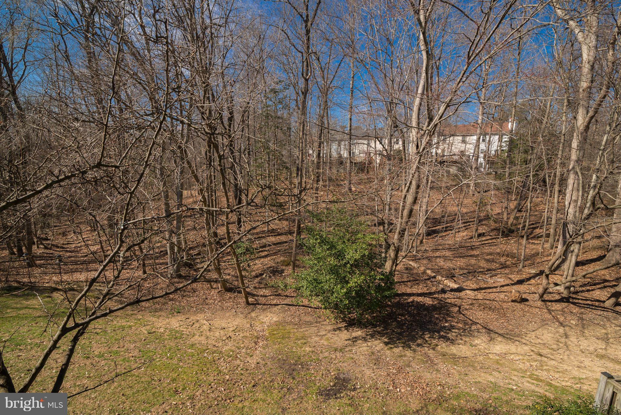 7412 Spring Tree Drive Springfield, VA 22153 - Photo 29 of 29 Wooded lot