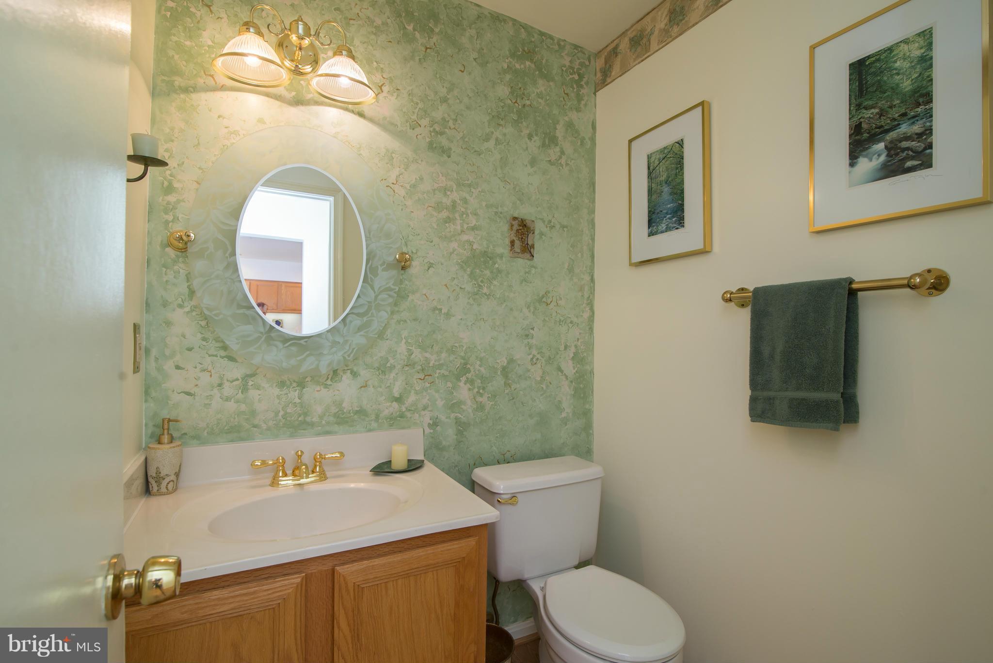 7412 Spring Tree Drive Springfield, VA 22153 - Photo 10 of 29 Powder Room