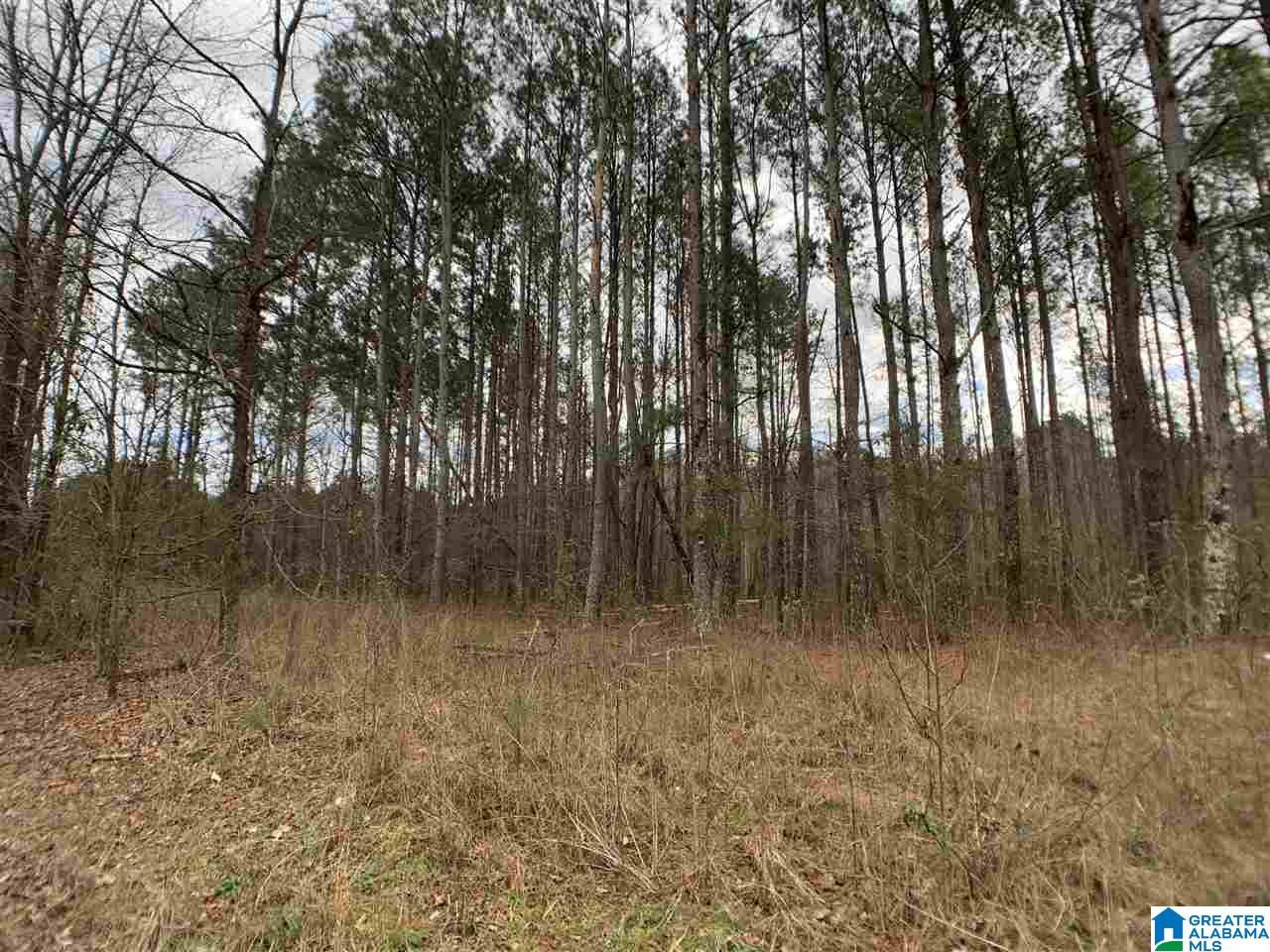 0 Possum Trot Road Piedmont, AL 36272 - Photo 4 of 13