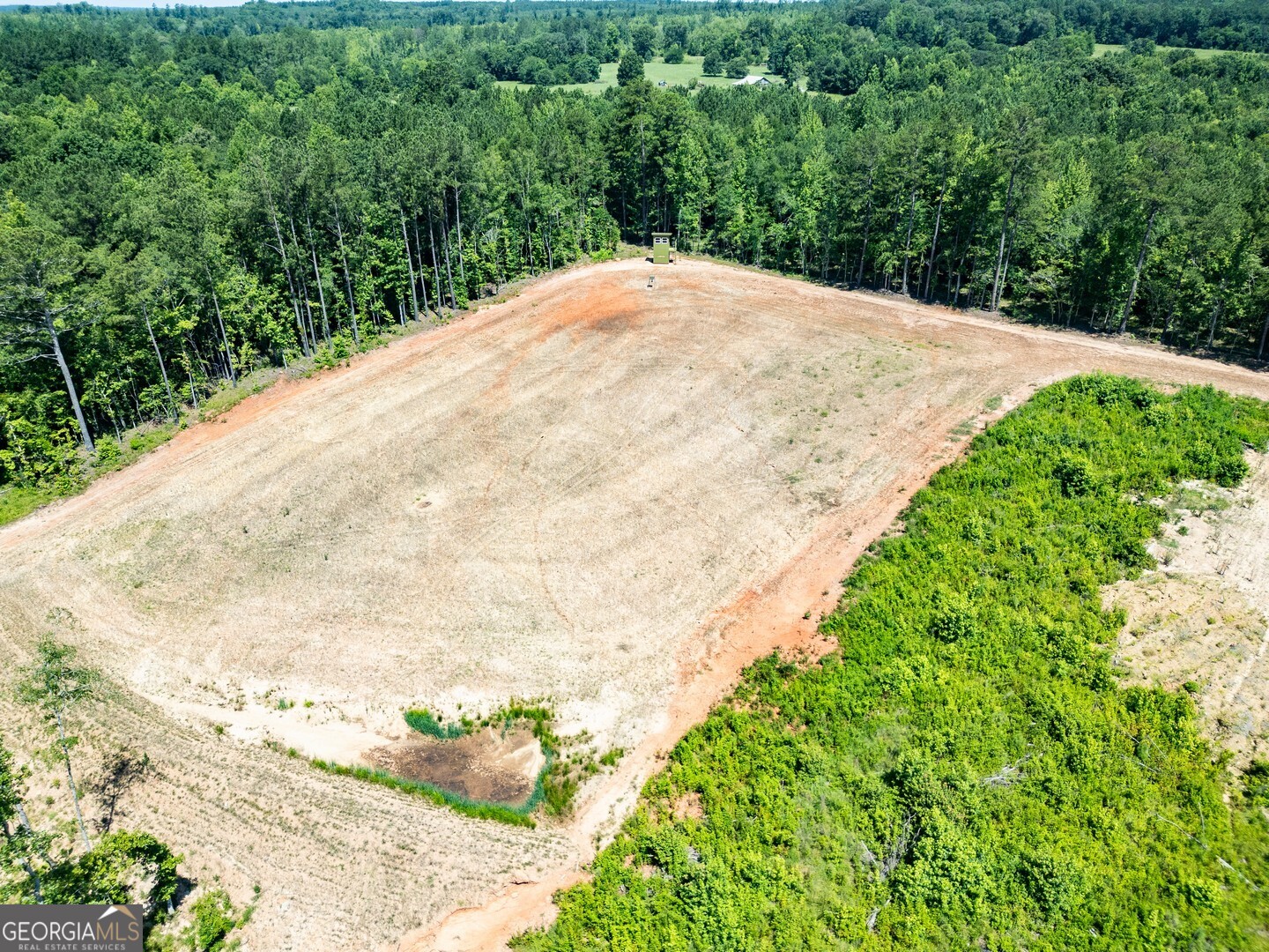 4348 Marshall Stewart Road Crawfordville, GA 30631 - Photo 41 of 80 a view of a backyard of the house