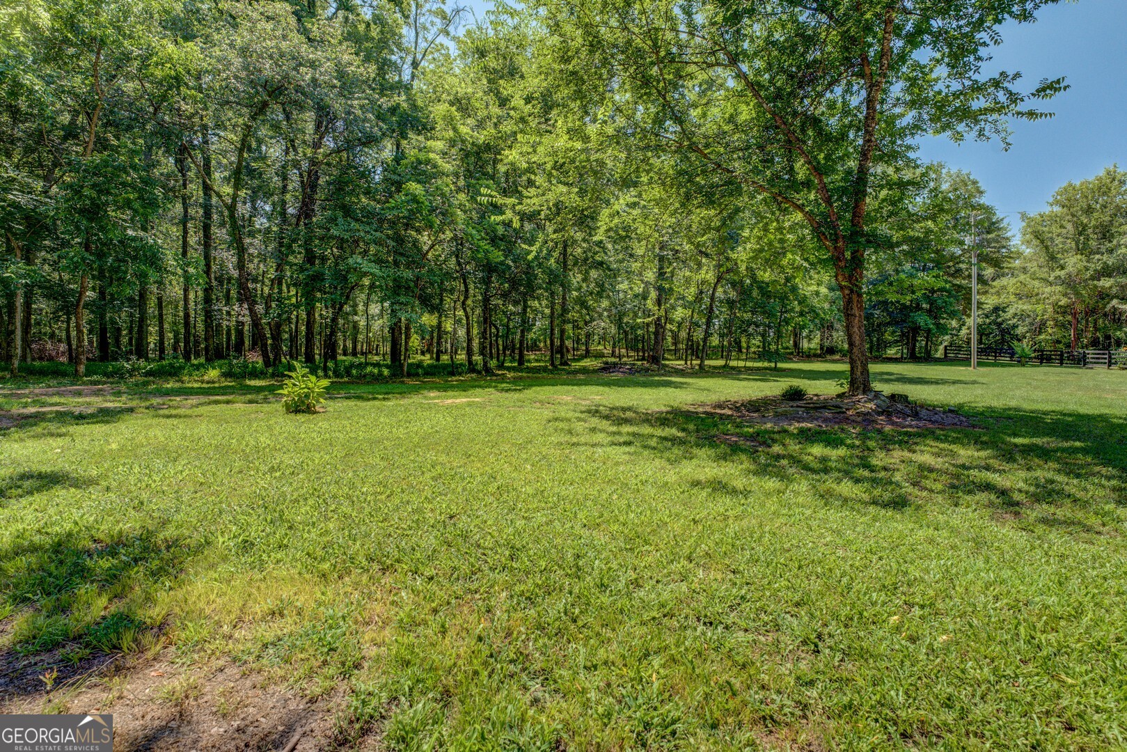4348 Marshall Stewart Road Crawfordville, GA 30631 - Photo 65 of 80 a view of a park with trees in the background