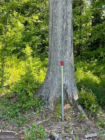 $1,500,000 | 4348 Marshall Stewart Road, Crawfordville, GA 30631