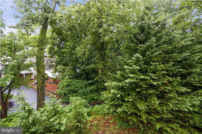 596 A Whitney Road Severna Park, MD 21146 - Photo 24 of 29 From Rear Deck