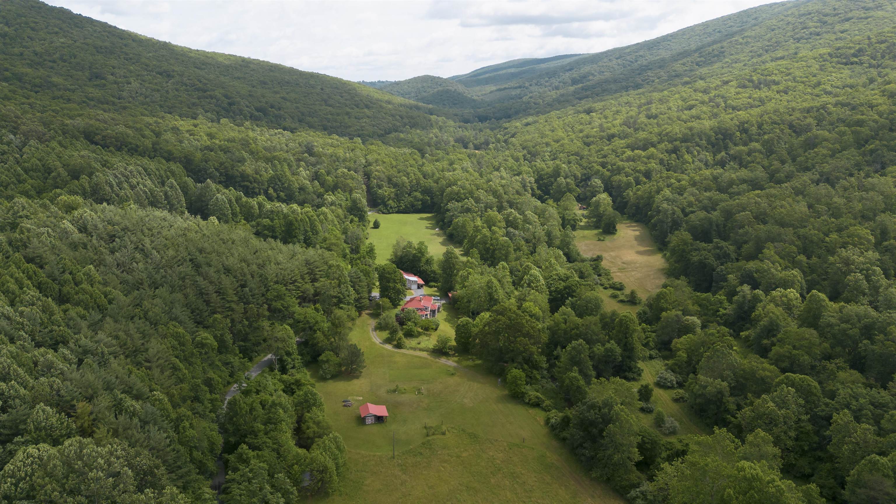 7304 Dry Run Road Williamsville, VA 24487 - Photo 53 of 57 a view of a lush green forest with trees and some houses