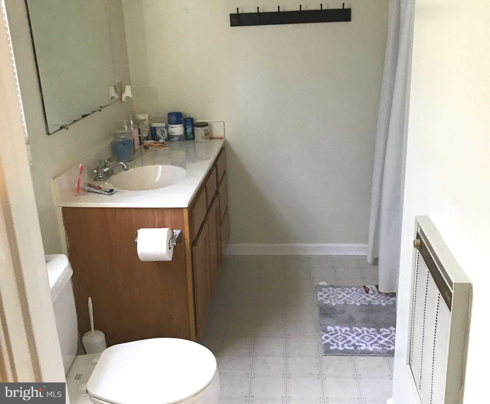 8807 Indian Springs Road Frederick, MD 21702 - Photo 16 of 27 a bathroom with a sink a toilet and a mirror