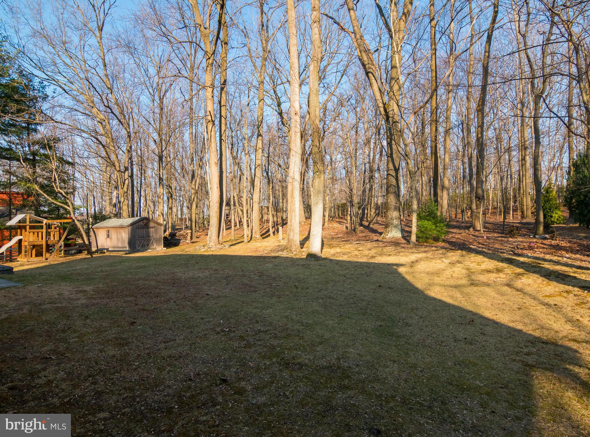 8807 Indian Springs Road Frederick, MD 21702 - Photo 26 of 27 a backyard of house with trees