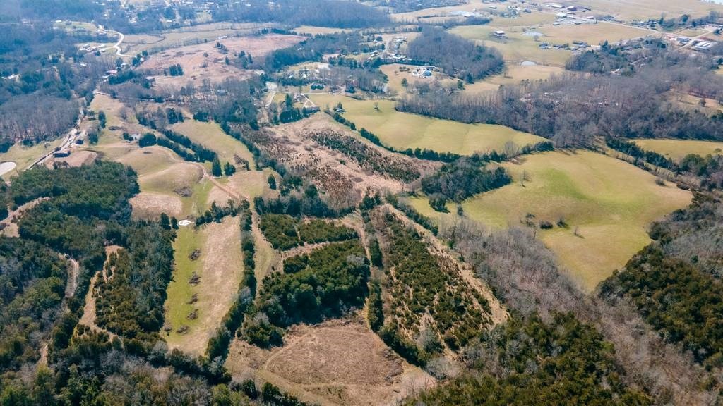 1616 Providence Hills Road Sevierville, TN 37876 - Photo 3 of 6