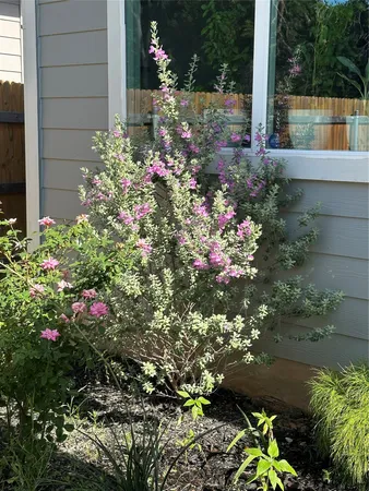 $2,275 | 202 Big Sandy Creek Drive, Hutto, TX 78634