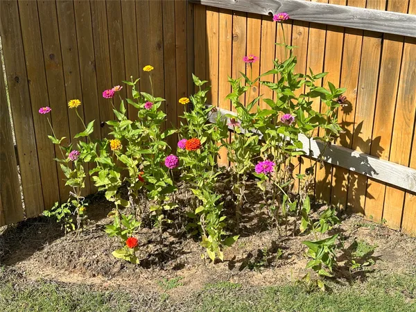 $2,275 | 202 Big Sandy Creek Drive, Hutto, TX 78634