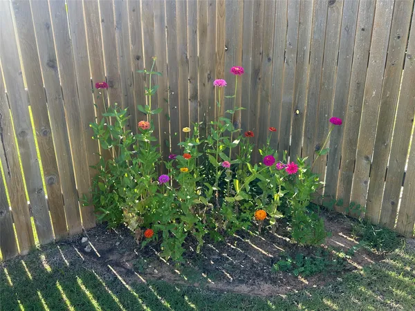 $2,275 | 202 Big Sandy Creek Drive, Hutto, TX 78634