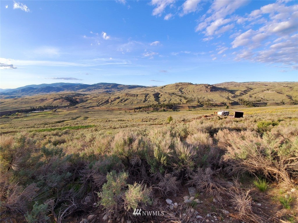10 Gold Rush Ridge Road Oroville, WA 98844 - Photo 12 of 12 Gallery Image 12
