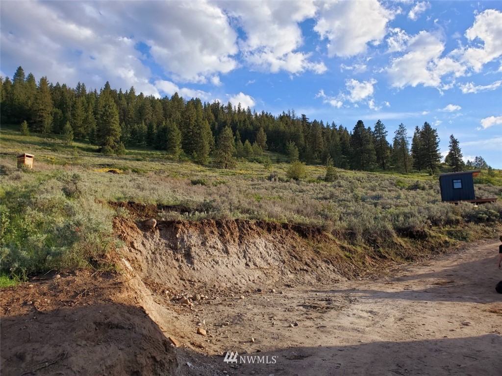 10 Gold Rush Ridge Road Oroville, WA 98844 - Photo 10 of 12 Gallery Image 10