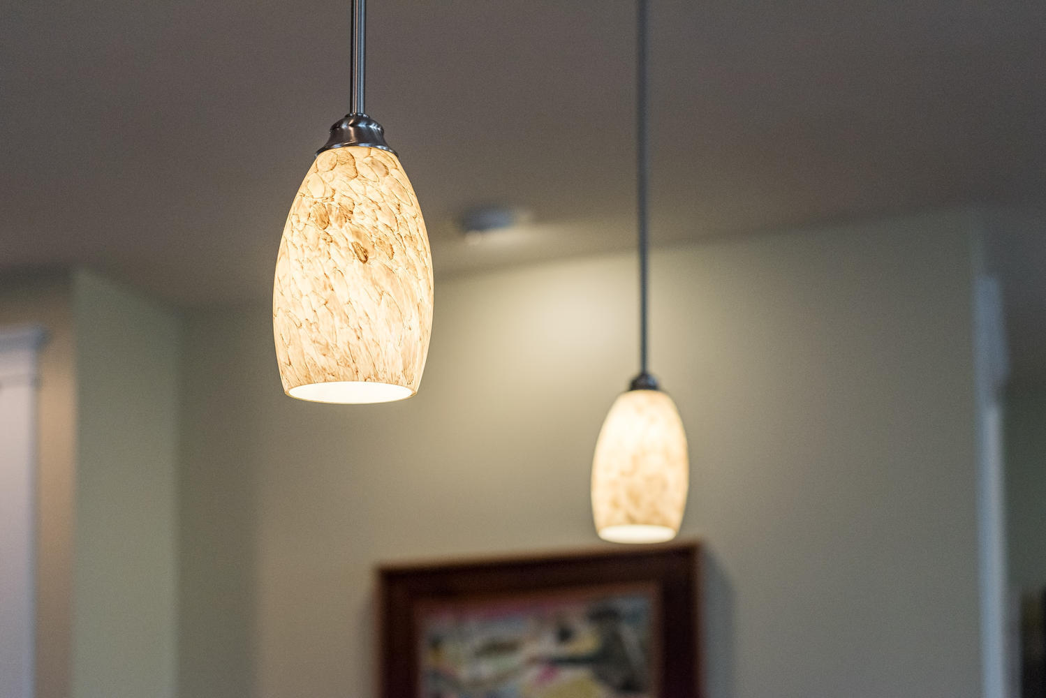 1263 Appling Drive Mount Pleasant, SC 29464 - Photo 17 of 59 Kitchen pendants