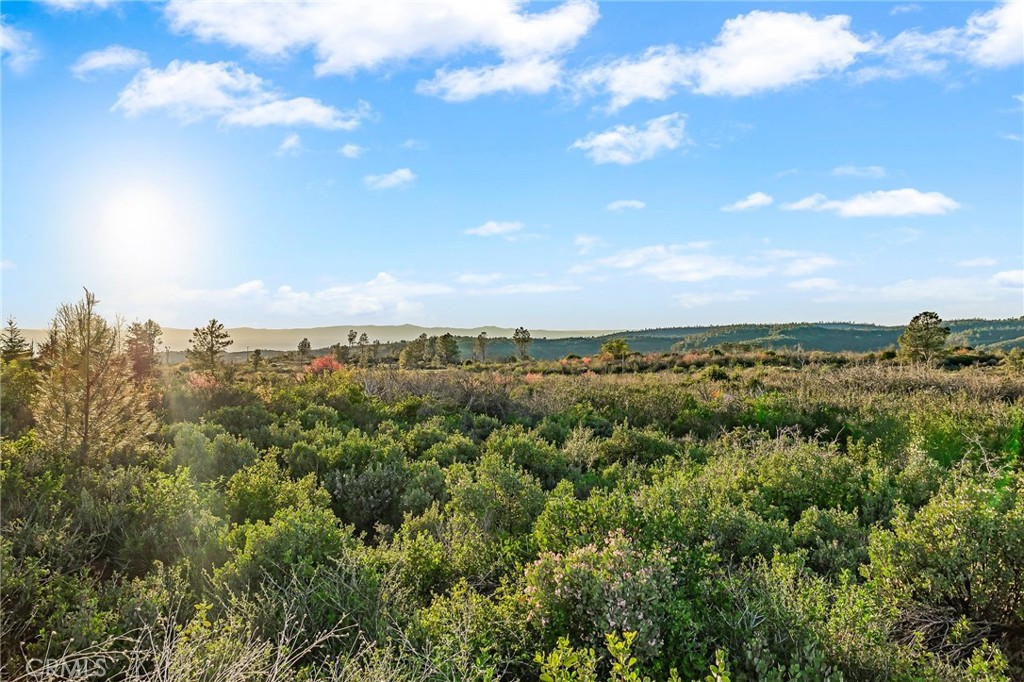 4614 Wilder Drive Chico, CA 95928 - Photo 47 of 66