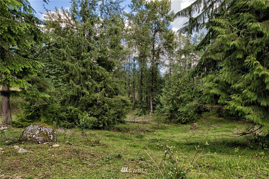 Three Three Lakes Road Snohomish, WA 98290 - Photo 3 of 6