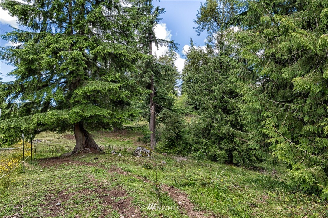 Three Three Lakes Road Snohomish, WA 98290 - Photo 4 of 6