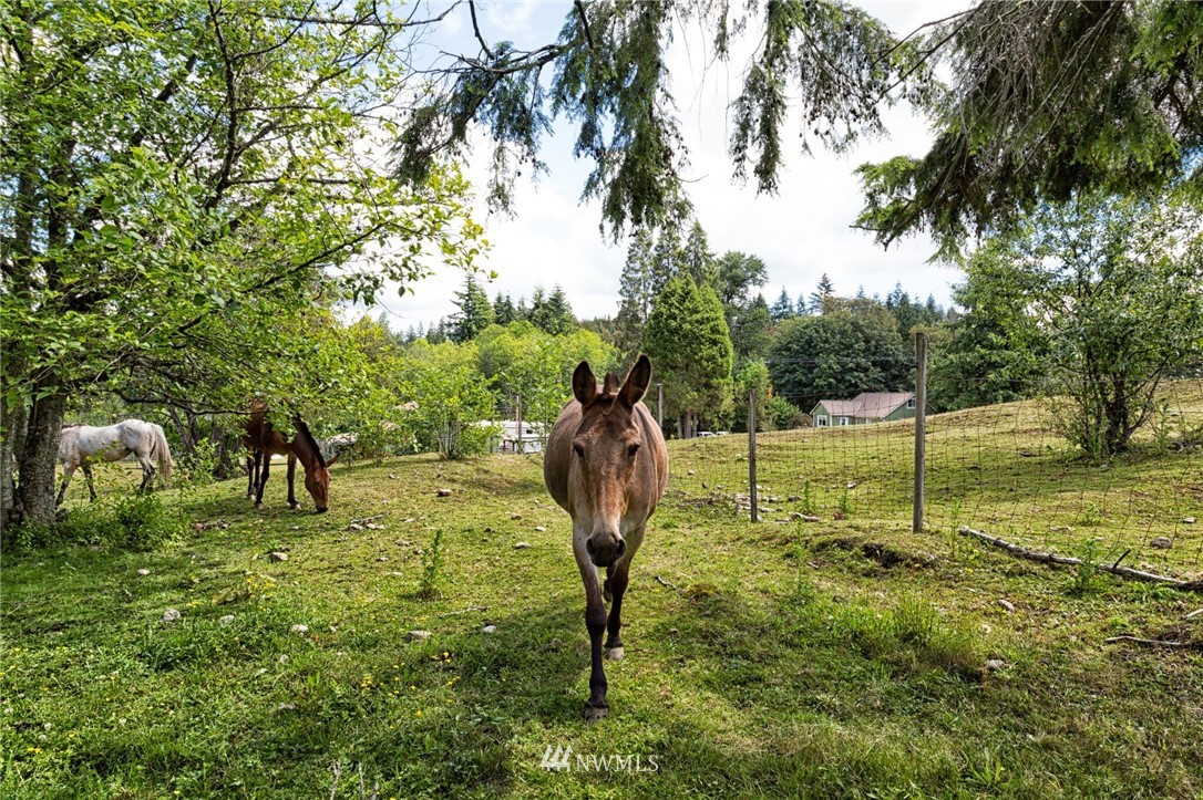 Three Three Lakes Road Snohomish, WA 98290 - Photo 5 of 6