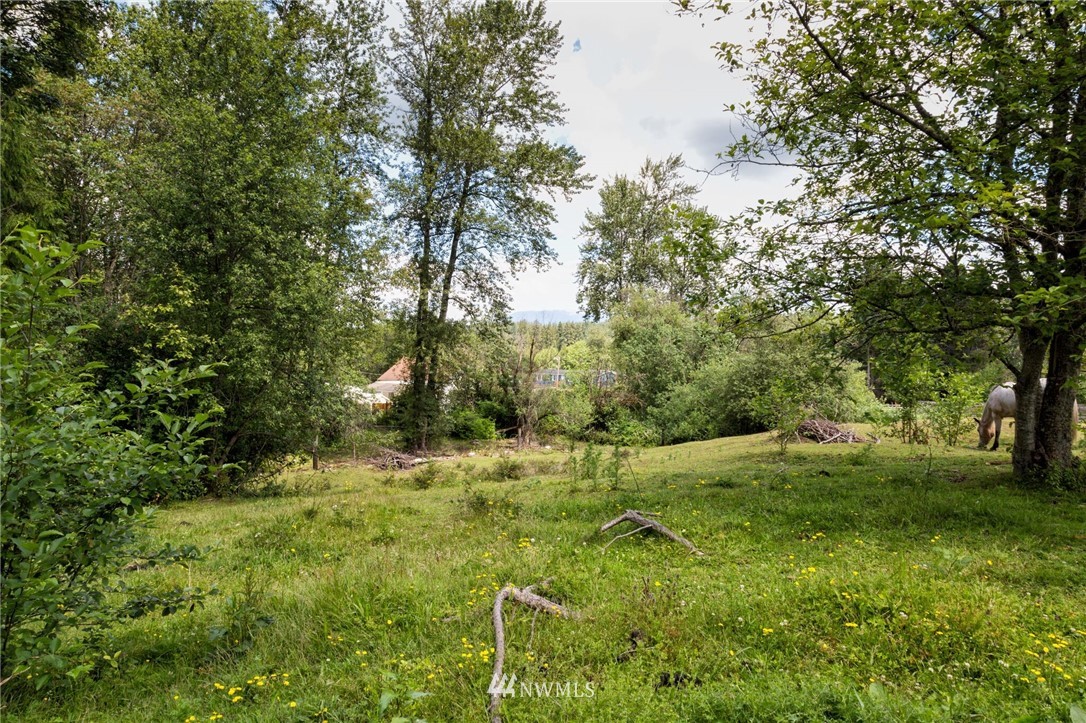 Three Three Lakes Road Snohomish, WA 98290 - Photo 6 of 6
