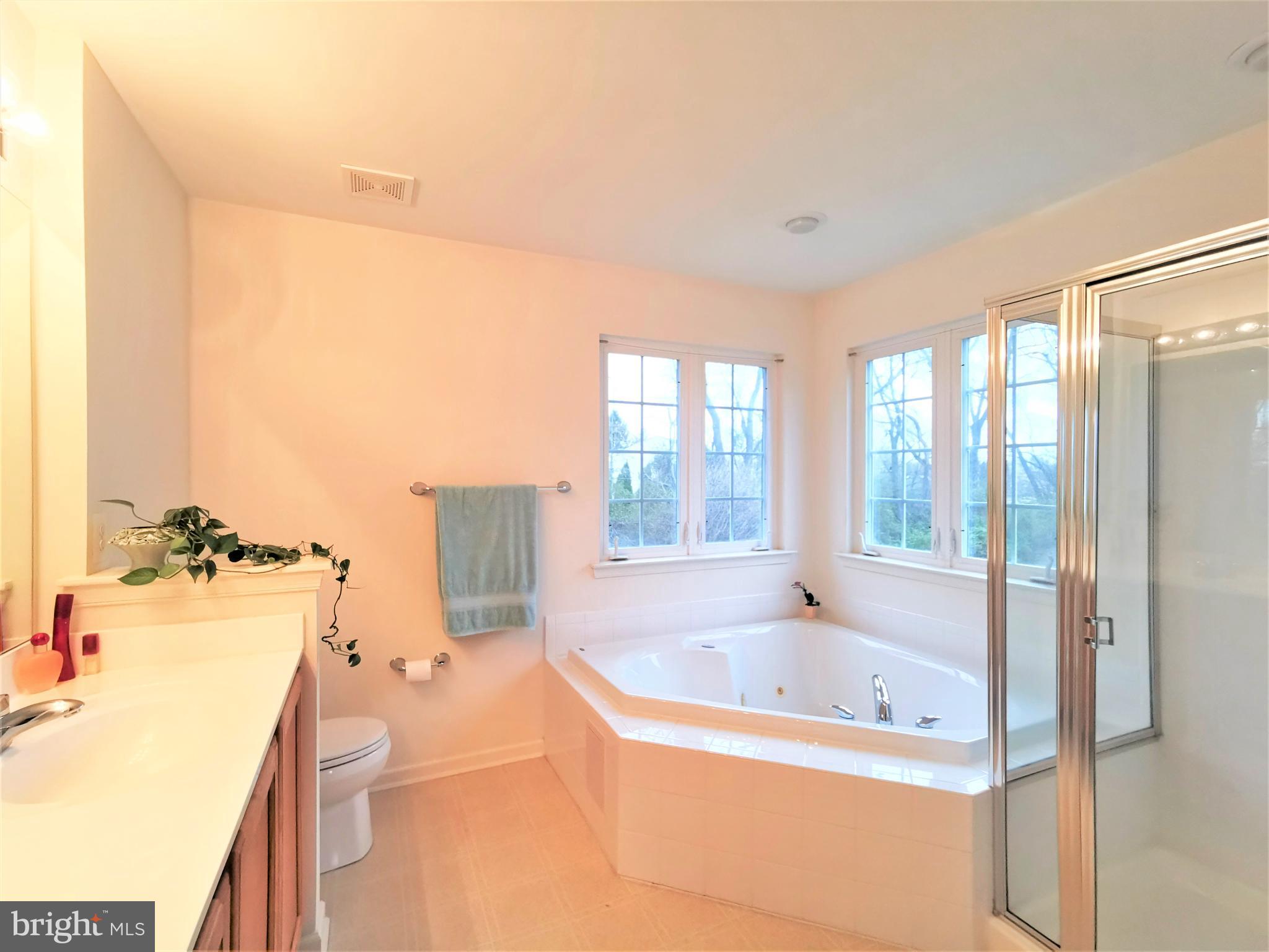 153 Malcolm Forest Road New Castle, DE 19720 - Photo 19 of 29 Master Bathroom