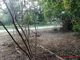 13530 Broxton Bridge Road Ehrhardt, SC 29081 - Photo 16 of 37 1567195998218