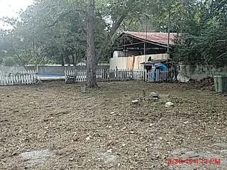 13530 Broxton Bridge Road Ehrhardt, SC 29081 - Photo 8 of 37 1567195903759
