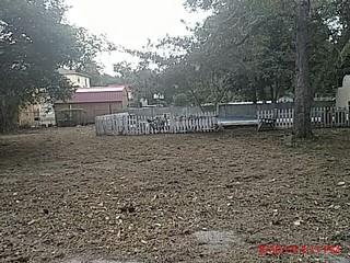 13530 Broxton Bridge Road Ehrhardt, SC 29081 - Photo 9 of 37 1567195906001