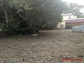 13530 Broxton Bridge Road Ehrhardt, SC 29081 - Photo 10 of 37 1567195911582