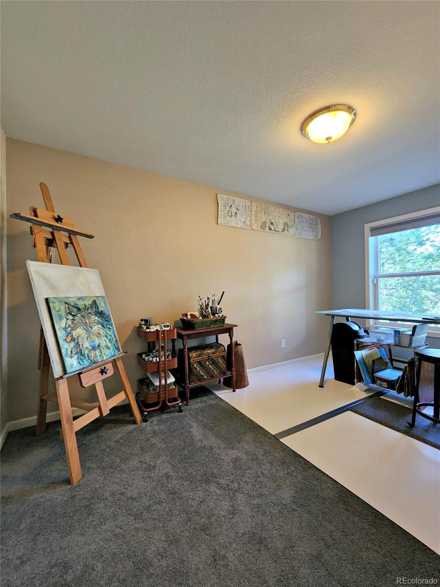 15 Rock Gulch Road Evergreen, CO 80439 - Photo 23 of 40 Gallery Image 23