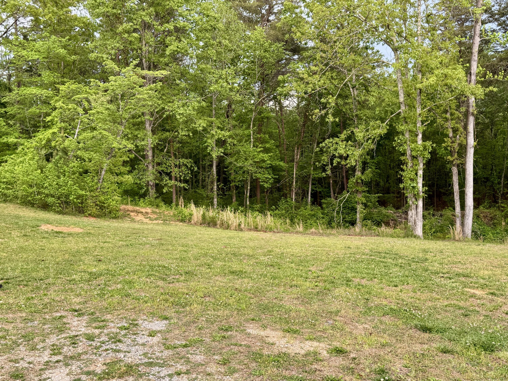 1350 Sneed Road Decatur, TN 37322 - Photo 28 of 34 Gallery Image 28