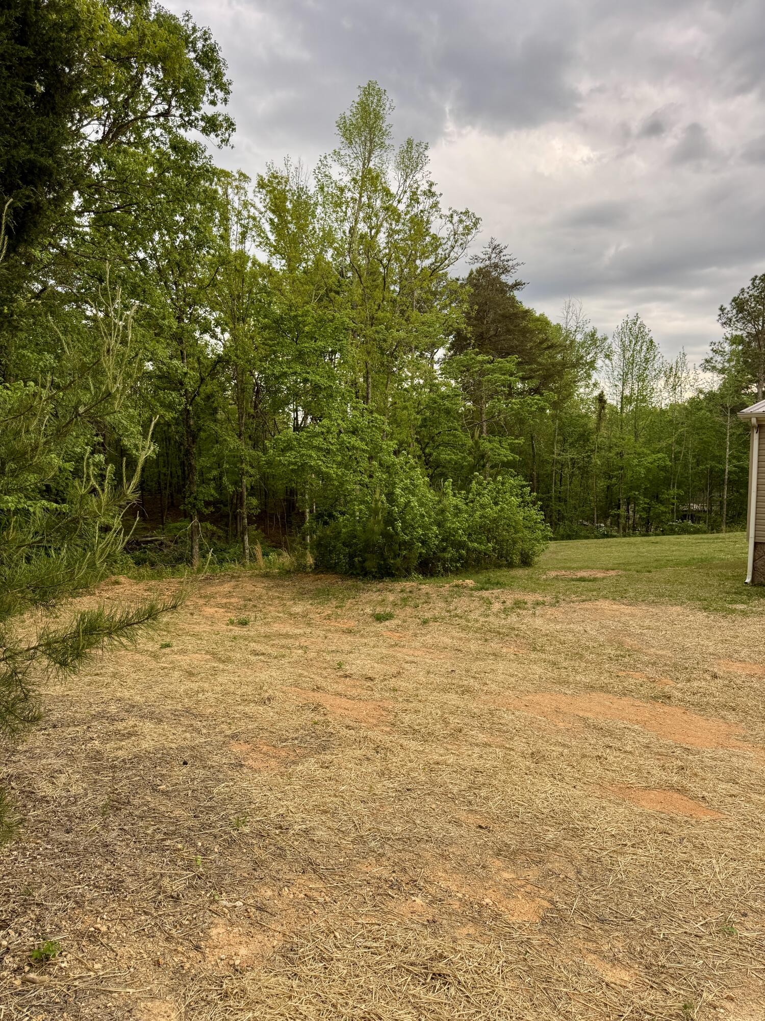 1350 Sneed Road Decatur, TN 37322 - Photo 31 of 34 Gallery Image 31