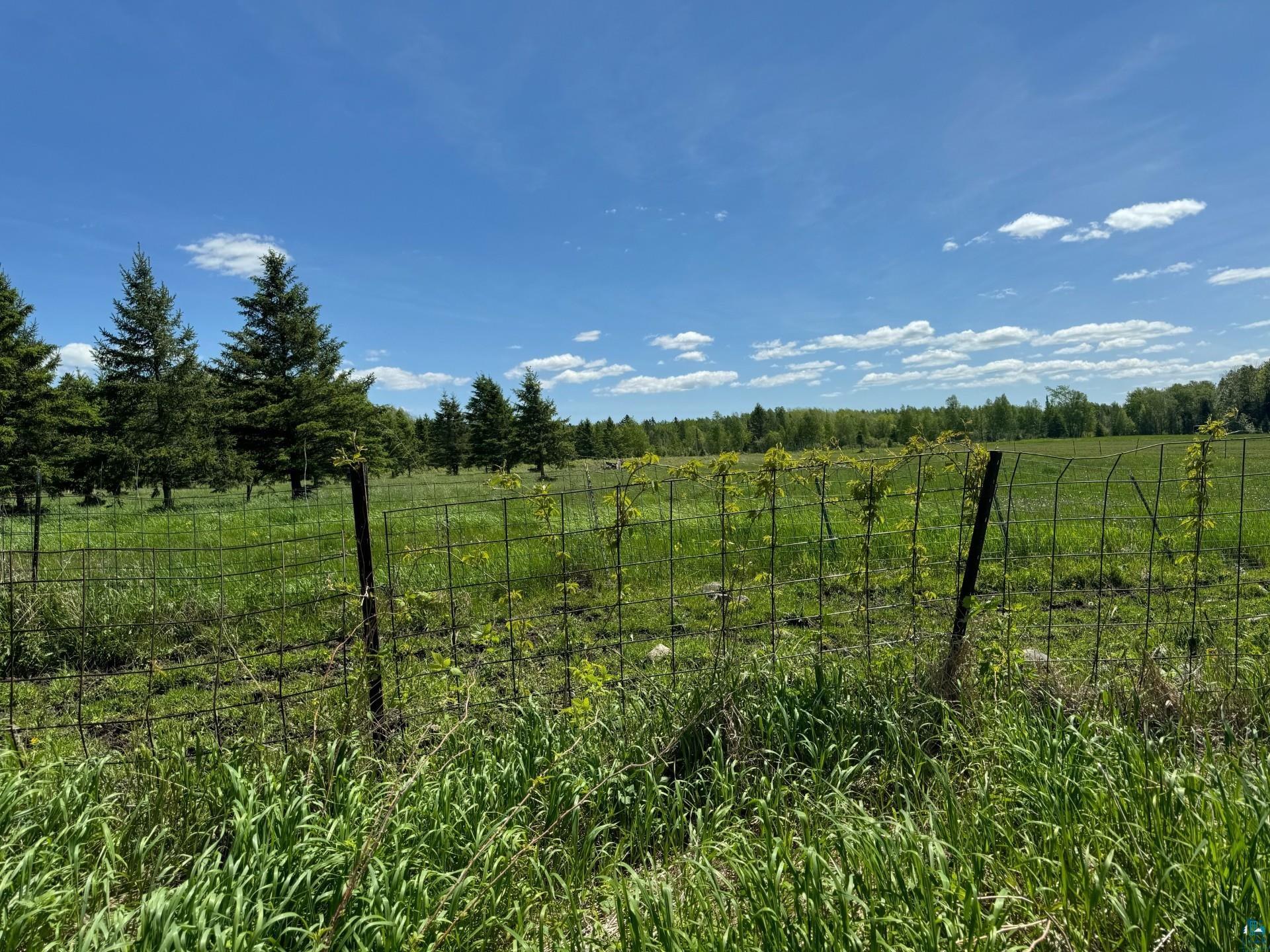 5704 Kespohl Road Floodwood, MN 55736 - Photo 23 of 26 View of yard with a rural view