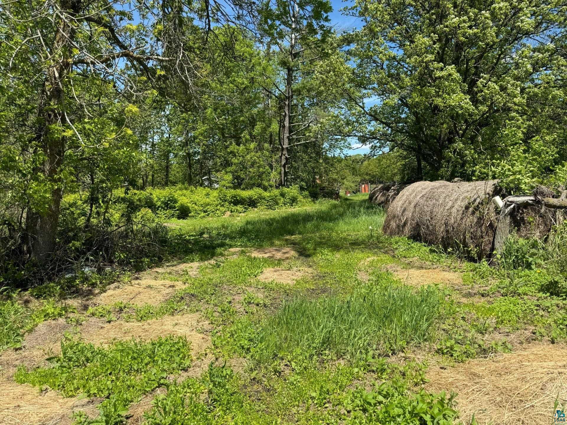 5704 Kespohl Road Floodwood, MN 55736 - Photo 24 of 26 View of local wilderness