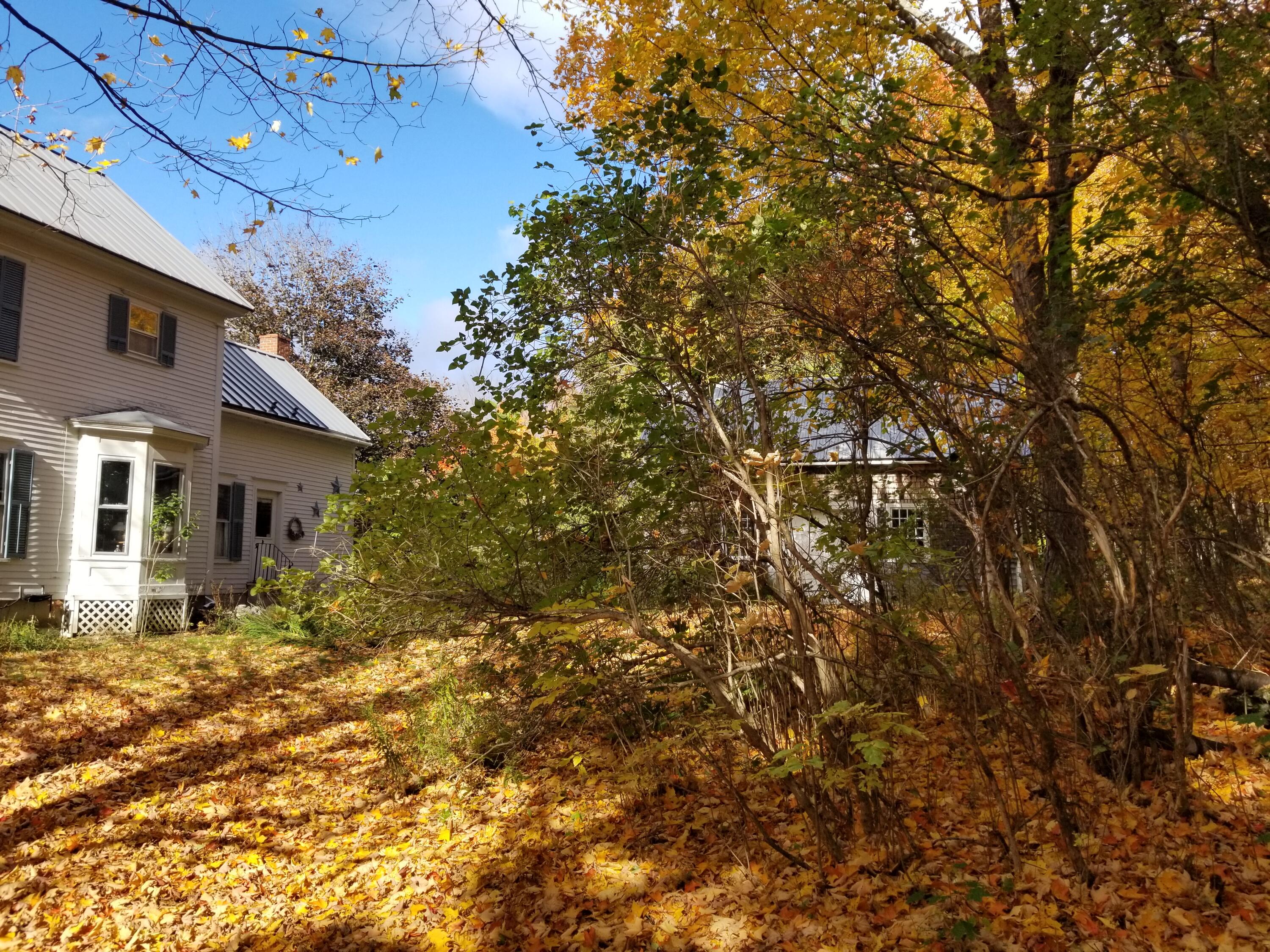 110 Christian Ridge Road South Paris, ME 04281 - Photo 14 of 69 Nice forest in back