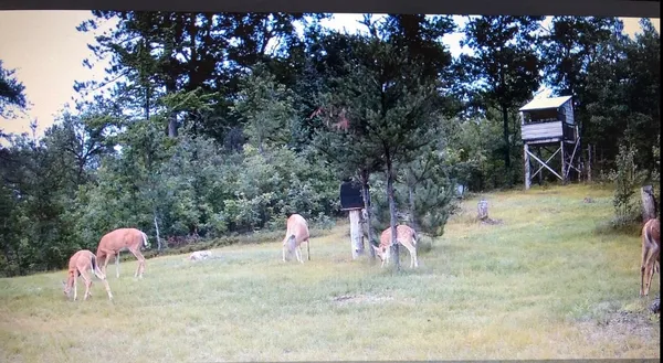 $399,900 | W11115 Cth Street, Crivitz, WI 54114