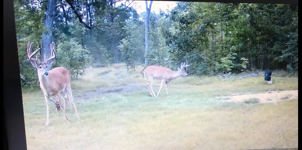 $399,900 | W11115 Cth Street, Crivitz, WI 54114