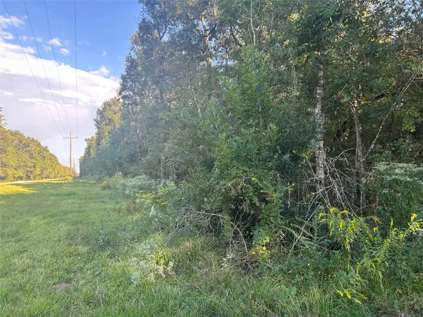 a view of a field of grass and trees