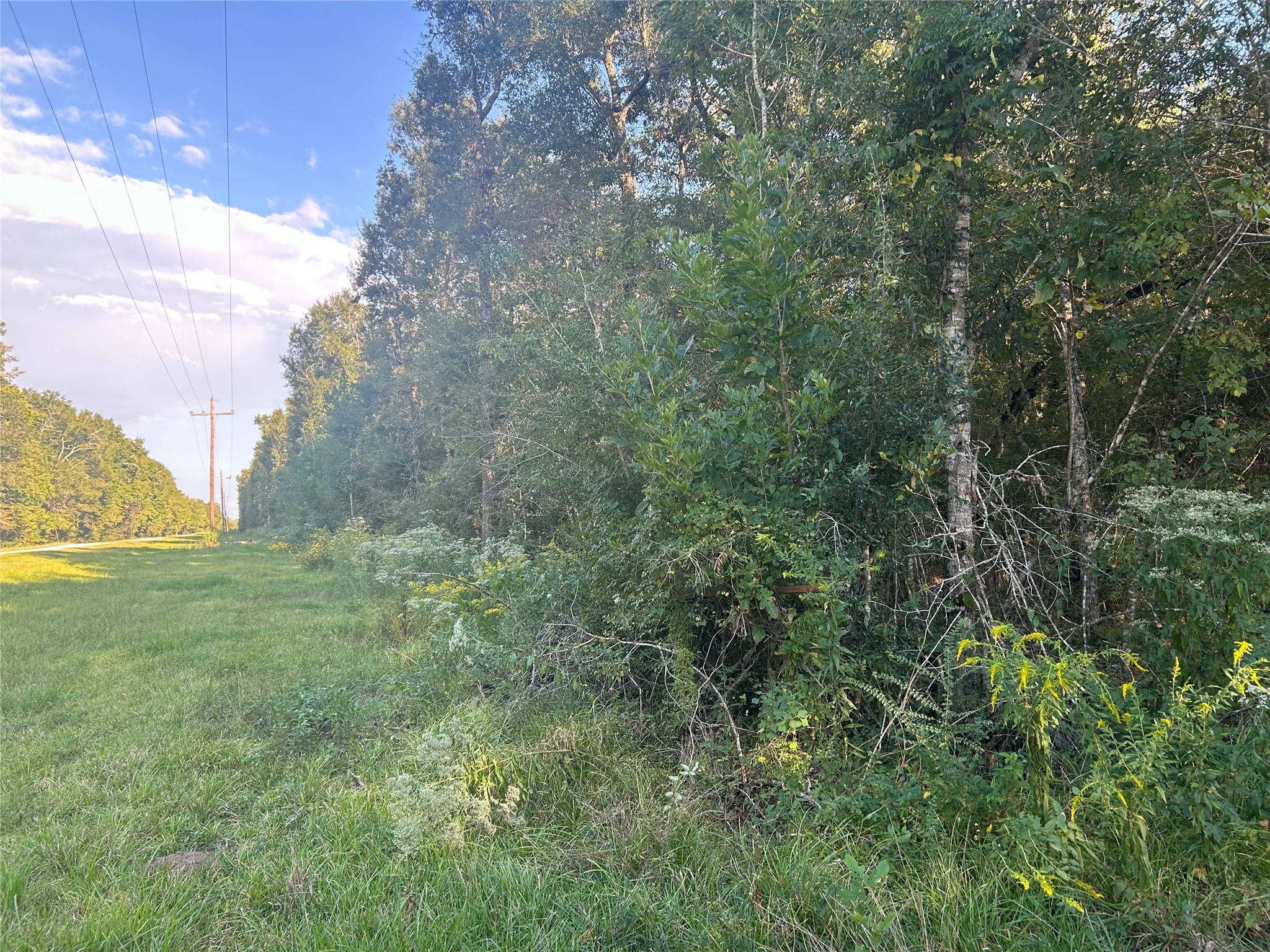 45-46 Tx-61 Prairie Devers, TX 77538 - Photo 3 of 11 a view of a field of grass and trees