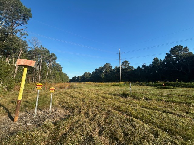 45-46 Tx-61 Prairie Devers, TX 77538 - Photo 9 of 11