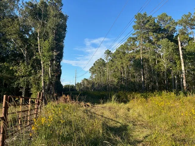 a view of lake and mountain