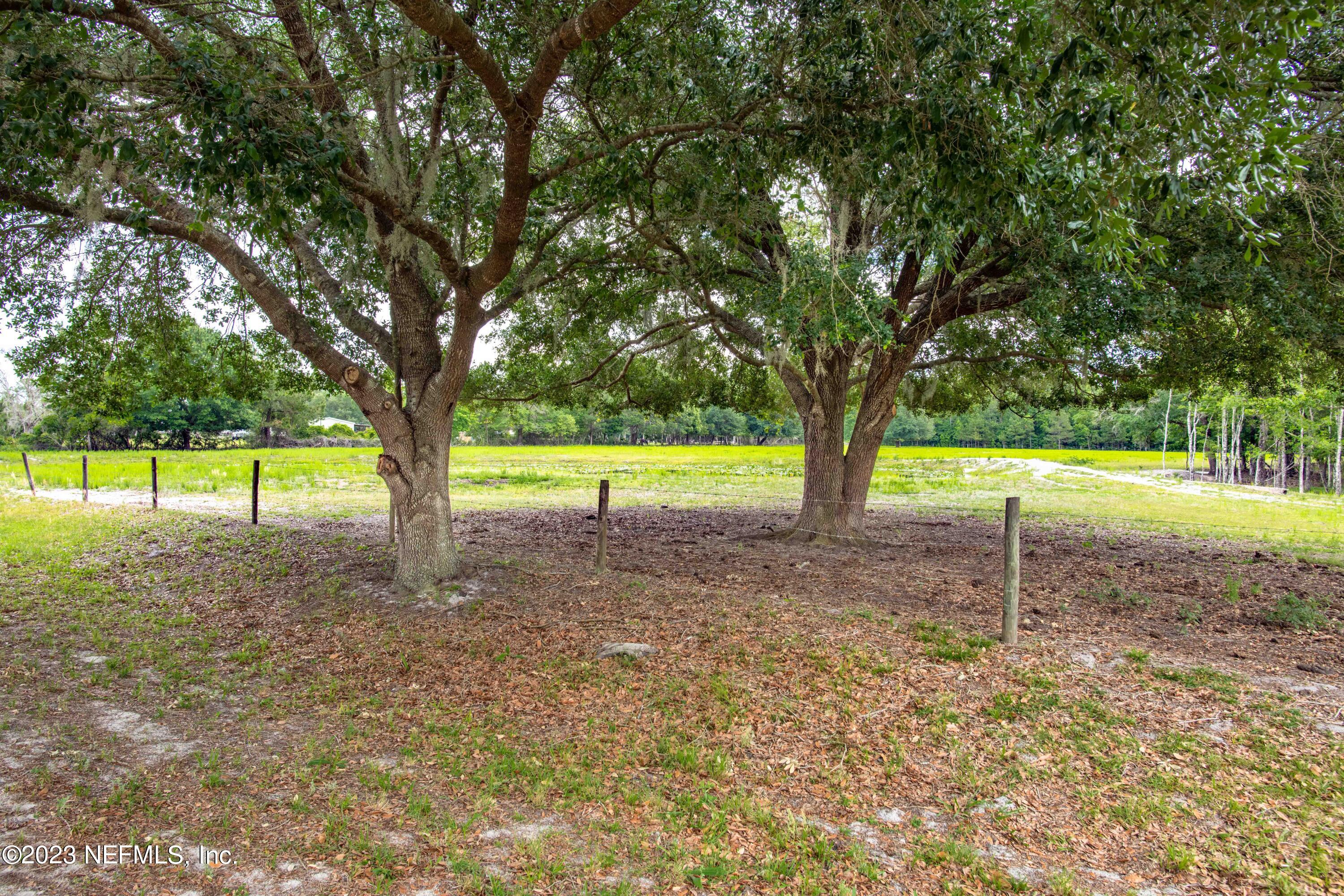 0 Oak Ridge Drive Interlachen, FL 32148 - Photo 16 of 34 Oak Ridge Drive Vacant Land - Interlache