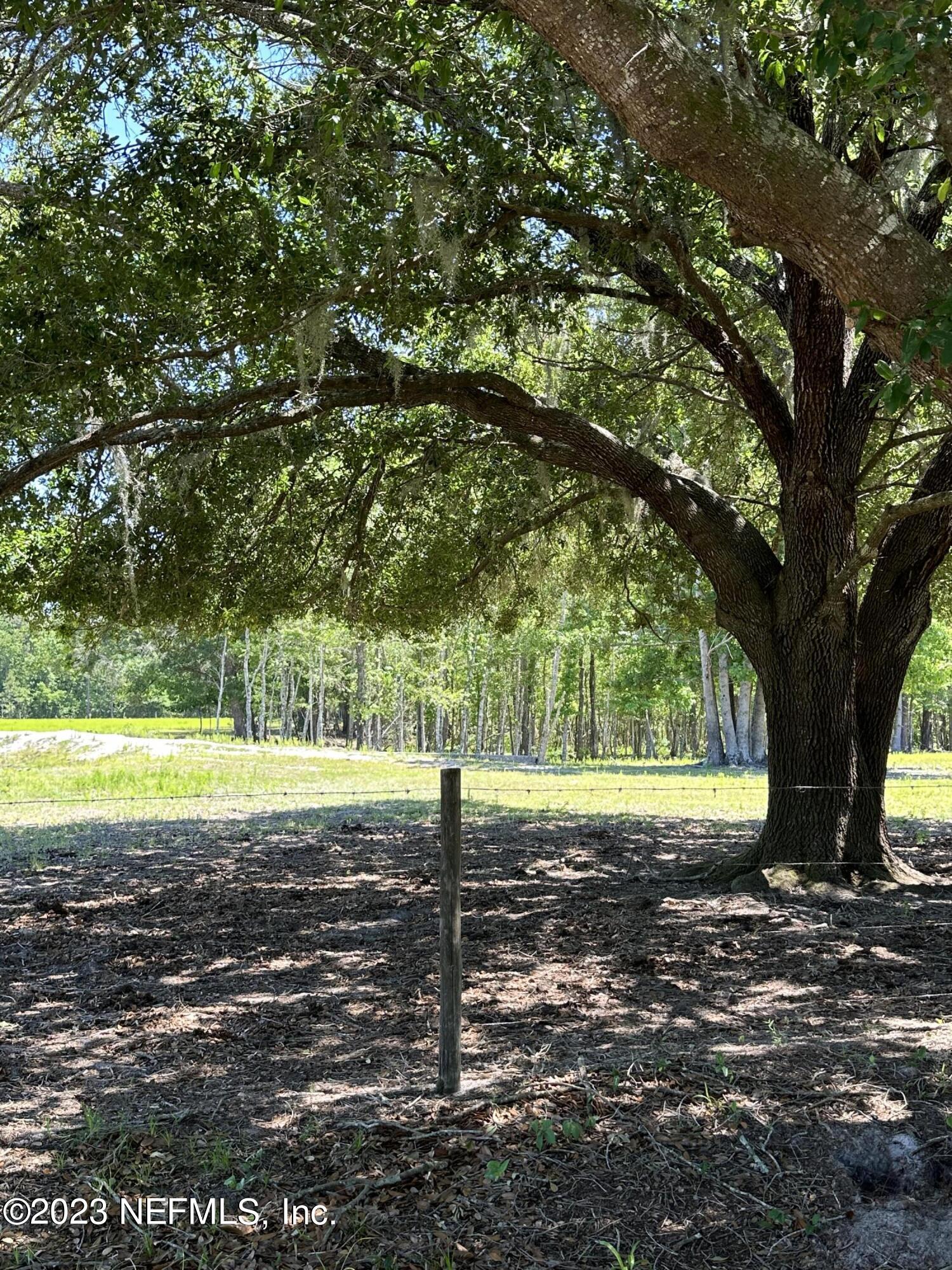 0 Oak Ridge Drive Interlachen, FL 32148 - Photo 22 of 34 635E635F-53BF-4A63-ABB5-6321545602AC