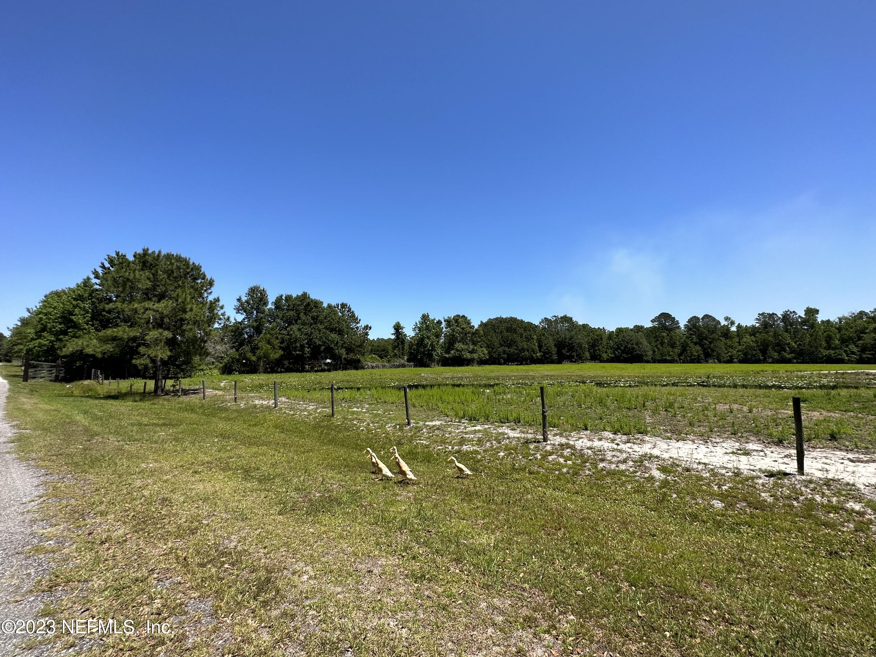 0 Oak Ridge Drive Interlachen, FL 32148 - Photo 28 of 34 7A147418-874D-4BE2-8466-AC648BC93C65
