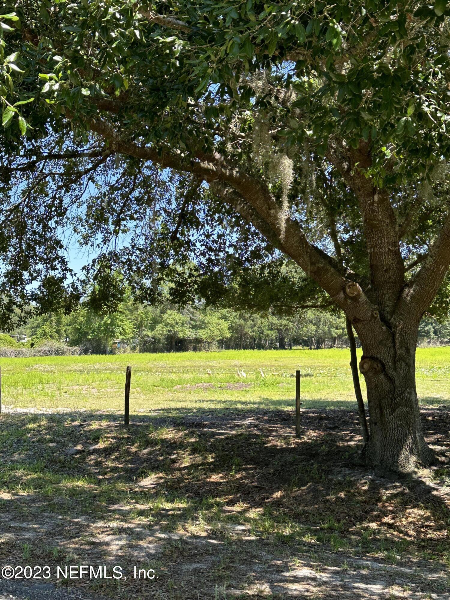 0 Oak Ridge Drive Interlachen, FL 32148 - Photo 32 of 34 D226DF04-EB5F-4F74-ABC8-07EB865309DA