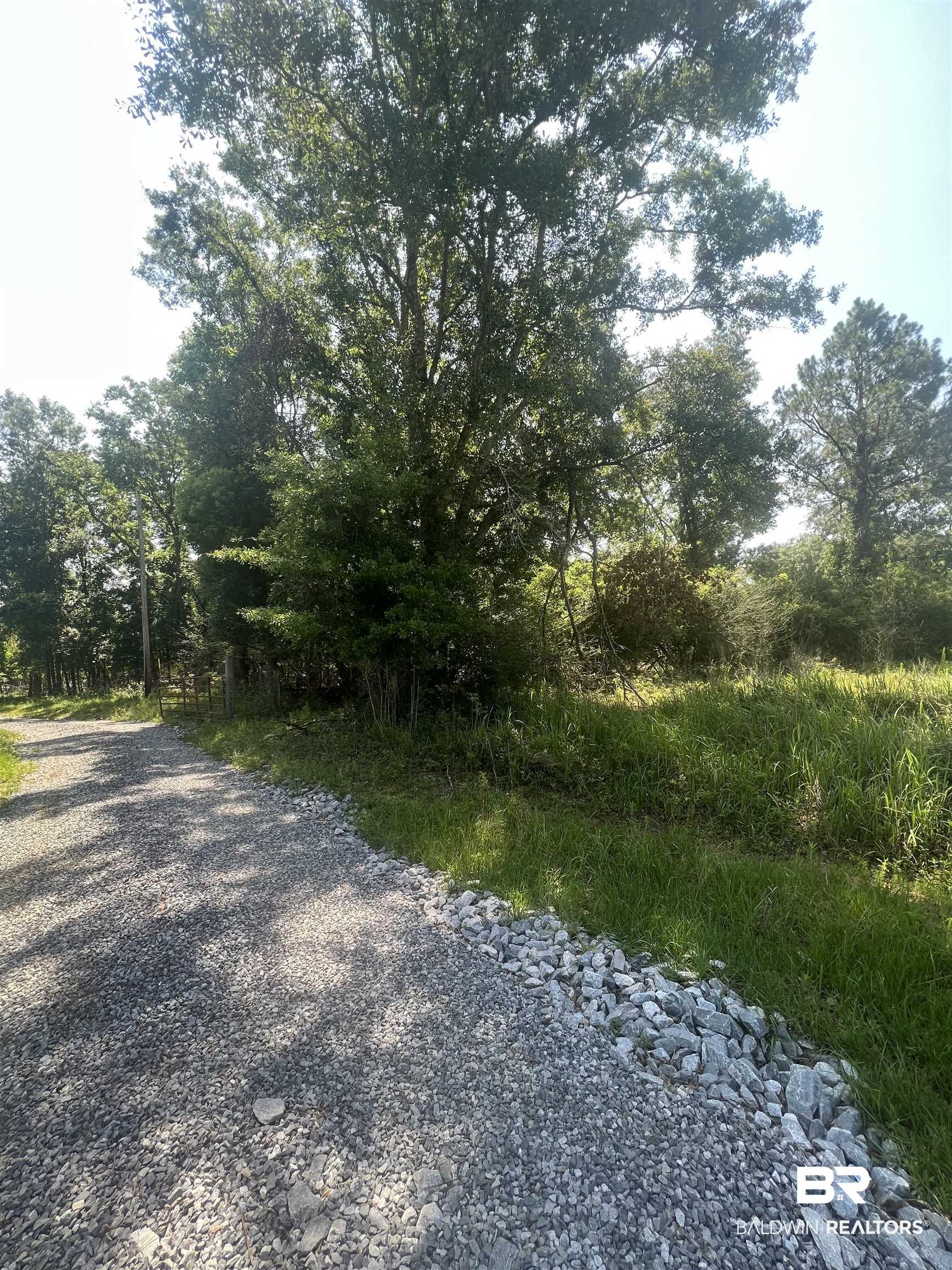 0 Cactus Court Elberta, AL 36530 - Photo 9 of 24 Gallery Image 9