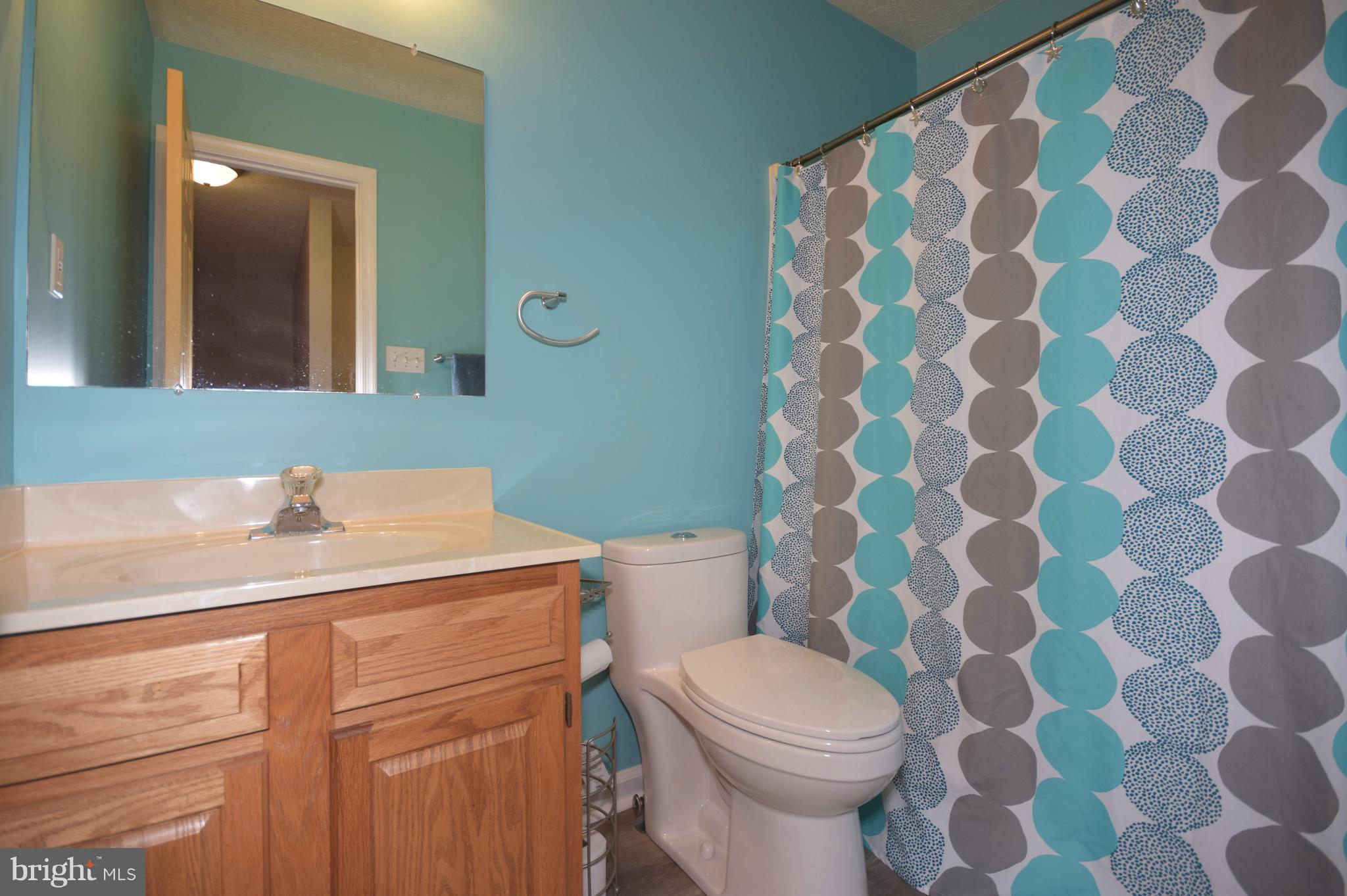 105 Henrico Road Front Royal, VA 22630 - Photo 14 of 27 Bathroom upper level hallway